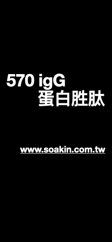 202408igG PP3