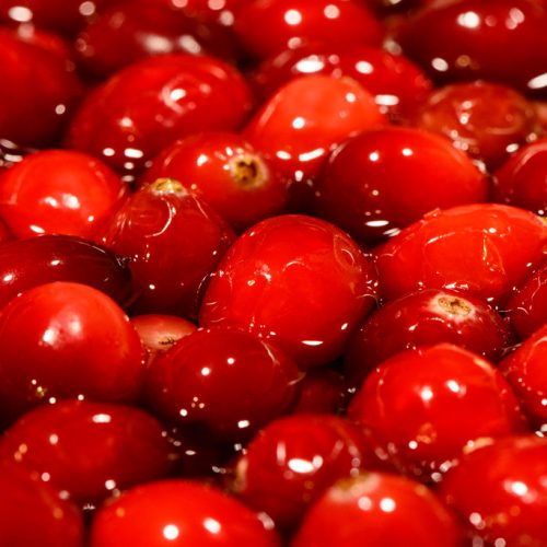 "<a href="https://www.flickr.com/photos/48227962@N04/15535488757" target="_blank" rel="noopener noreferrer">Cranberries</a>" by <a href="https://www.flickr.com/photos/48227962@N04" target="_blank" rel="noopener noreferrer">PMillera4</a> is licensed under <a href="https://creativecommons.org/licenses/by-nd-nc/2.0/jp/" target="_blank" rel="noopener noreferrer">CC BY-NC-ND 2.0</a>