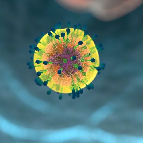 corona, immune system, blood cells-1132182.jpg